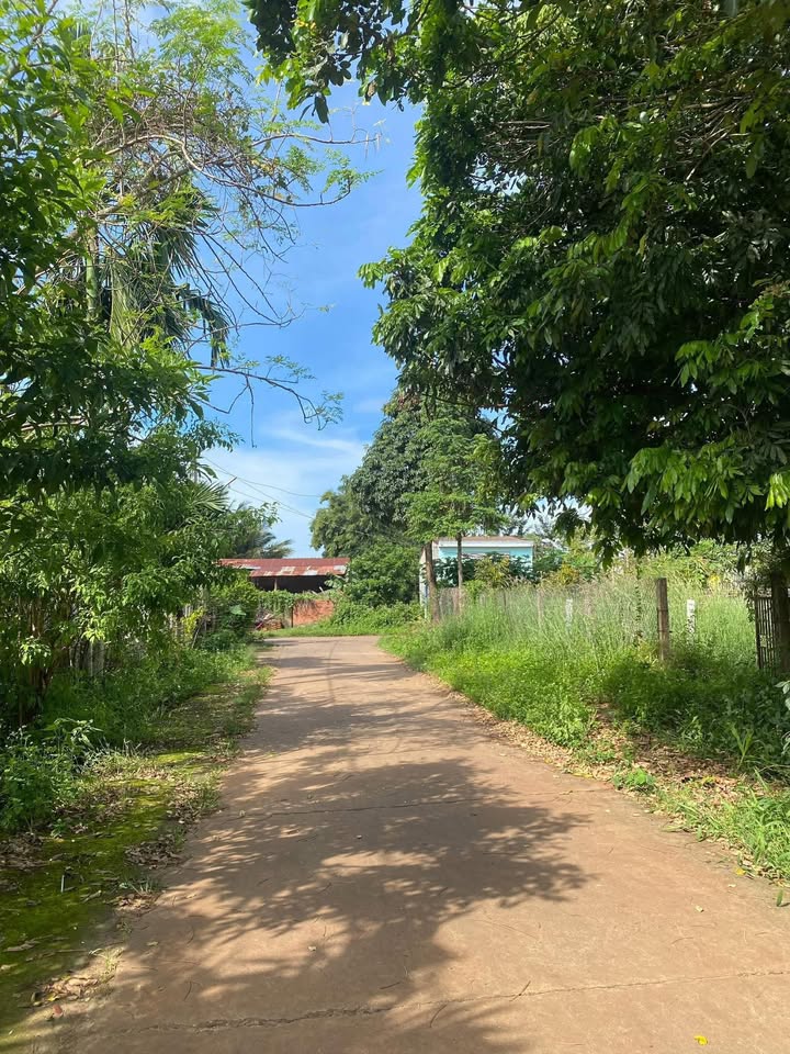 Đất nền đường Ngô Gia Tự, xã Quảng Phú, 153m² giá 1.2 tỷ - Cơ hội đầu tư hấp dẫn!