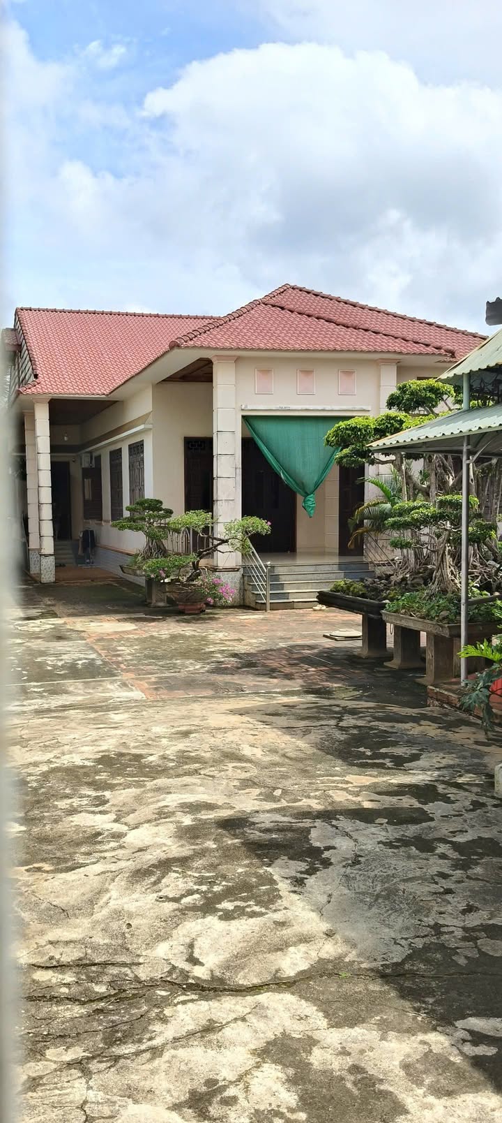 Đất lô góc 2 mặt đường Hùng Vương, Chư Sê 820m² - Cơ hội đầu tư hiếm có!