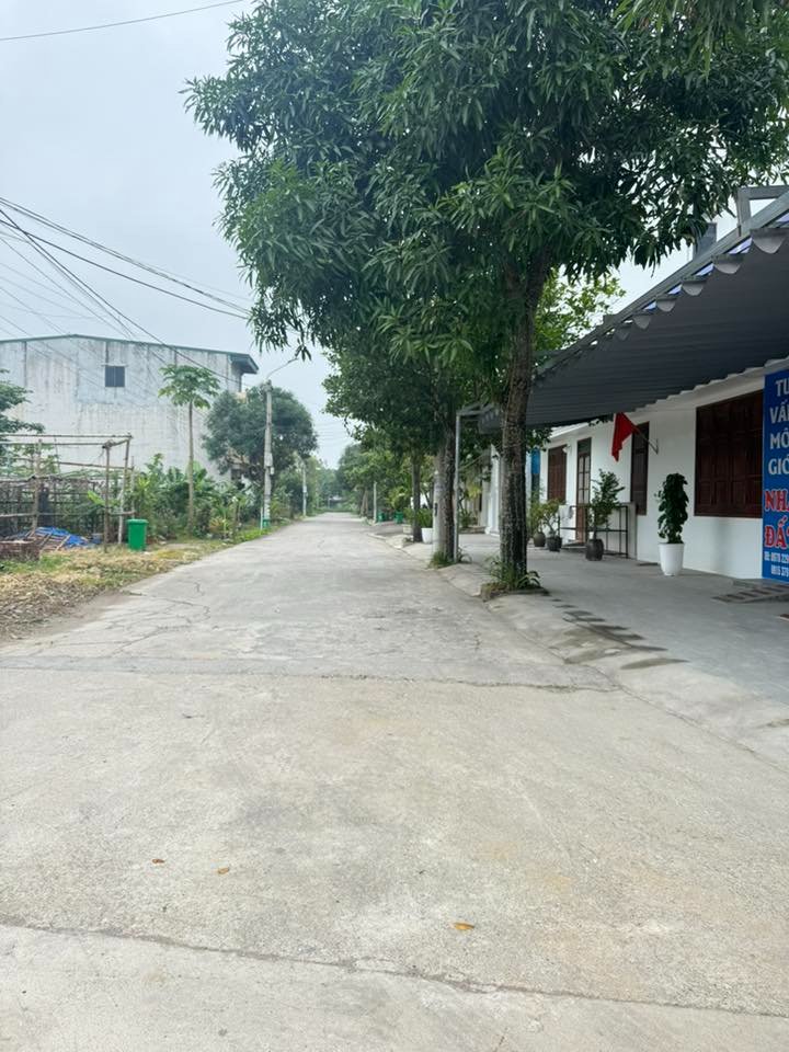 Đất nền Ninh Nhất, Ninh Bình 93.5m² giá 5 tỷ - Vị trí đắc địa gần phố cổ!