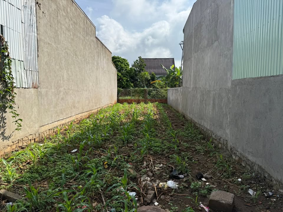 Lô đất Đức Trọng 144m² giá 880 triệu - Hạ giá bán lỗ trong tuần!