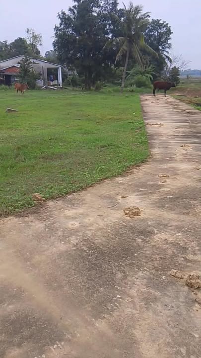 Đất nền Duy Hòa, Duy Xuyên 150m² giá 200 triệu - Sổ hồng trao tay, gần trường học!