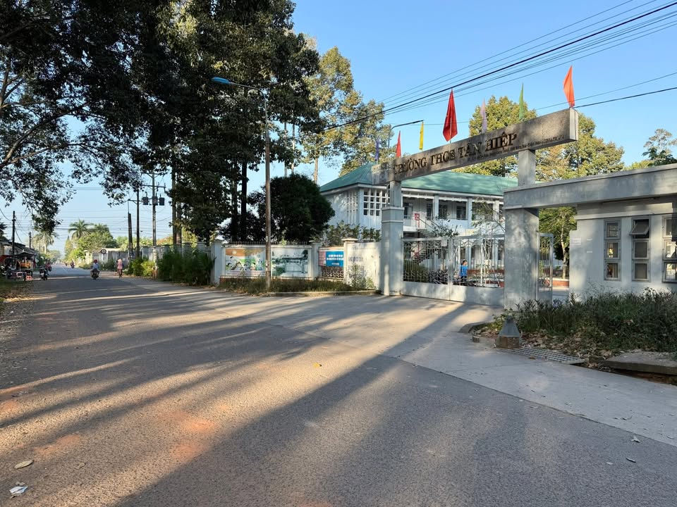 Đất mặt tiền đường Tân Hiệp 2 - Xã Phước Thái 300m² - Sổ riêng, thổ cư sẵn!