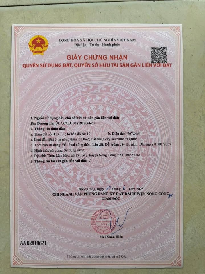 Đất Yên Mỹ Nông Cống 967m² giá 300 triệu - Đầu tư sinh lời bền vững!