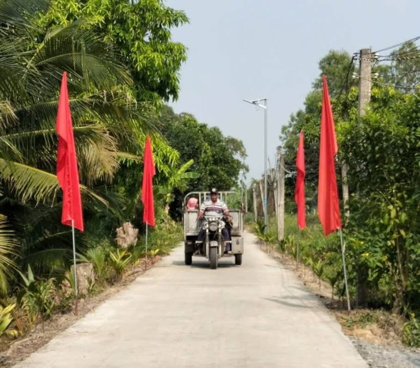 Đất nền 4000m² tại Bình Hòa Nam, Đức Huệ chỉ 2.9 tỷ - Sổ đỏ chính chủ!