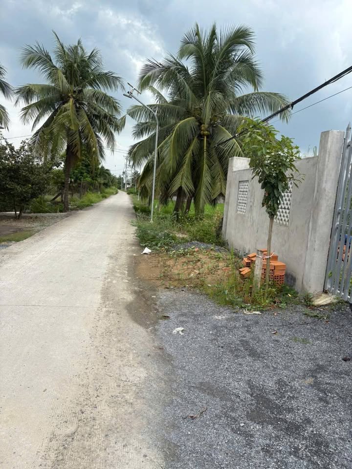 Đất thổ cư 2000m² tại xã Mỹ Phú, Thủ Thừa, Long An - Chỉ 5.5 tỷ, cơ hội đầu tư tuyệt vời!