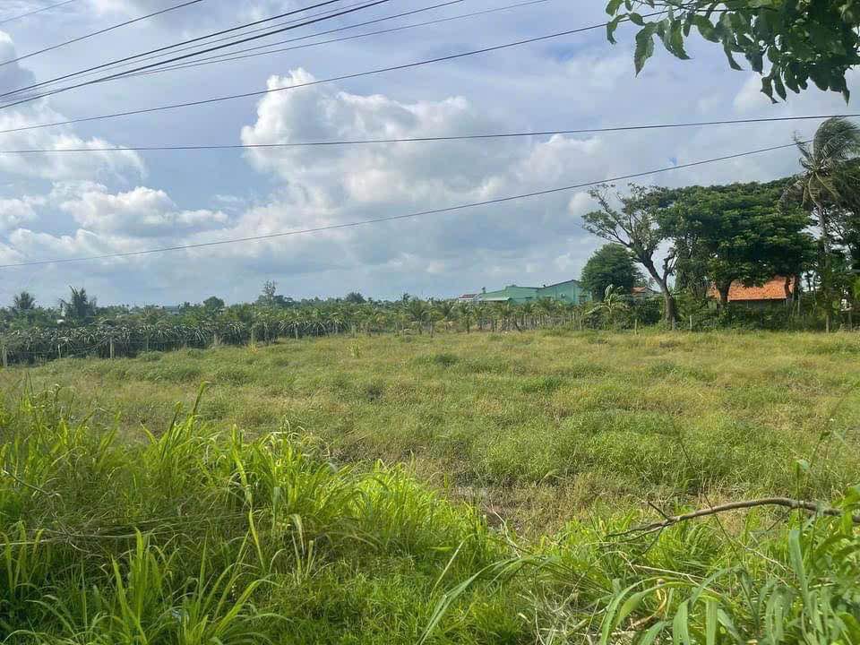 Đất nền Dương Xuân Hội 1600m² giá 3.8 tỷ - Đất vuông vức, sang tên ngay!