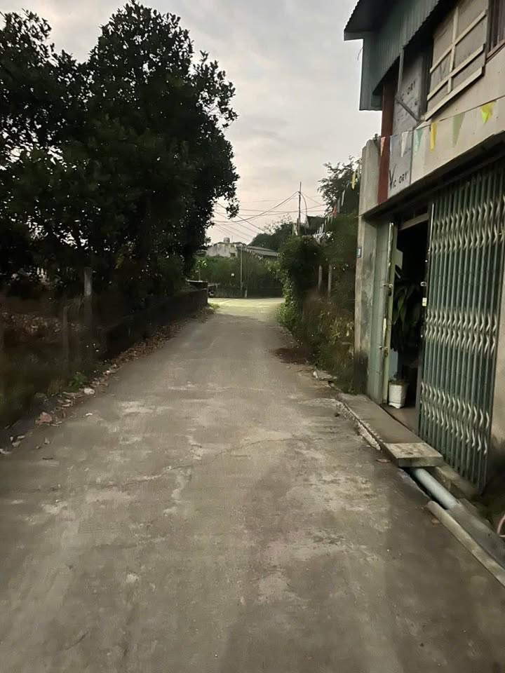 Đất nền Tổ 9, phường Nông Tiến, 240m² - Vị trí đắc địa gần cầu Tình Húc!