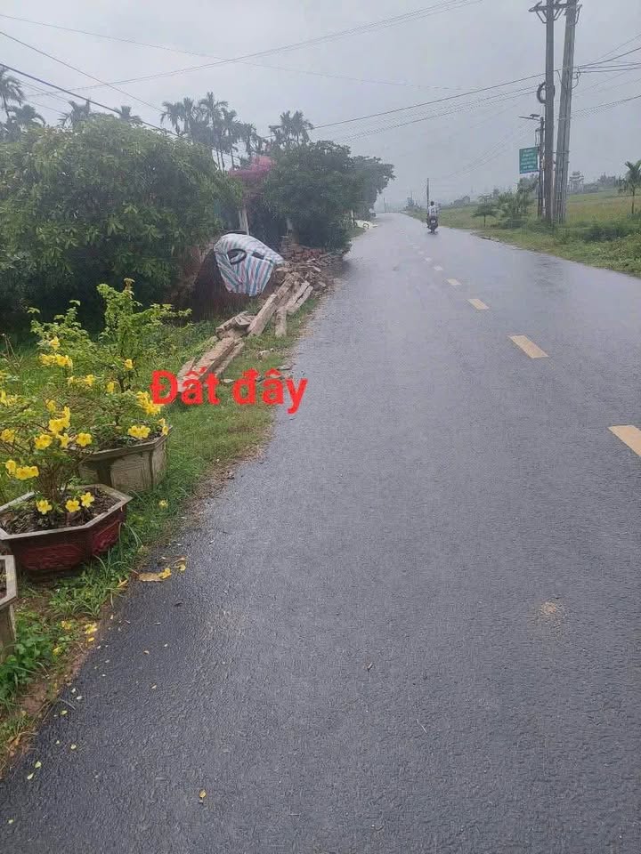 Đất mặt tiền nhựa Triệu Đại, Triệu Phong 231m² - Giá thỏa thuận, cơ hội đầu tư tuyệt vời!