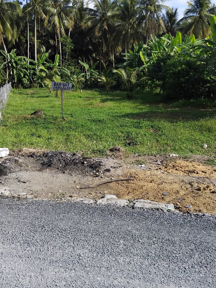 Đất nền ấp Phú Nông, Vĩnh Long 280m² - Đầu tư hấp dẫn, giá thỏa thuận!