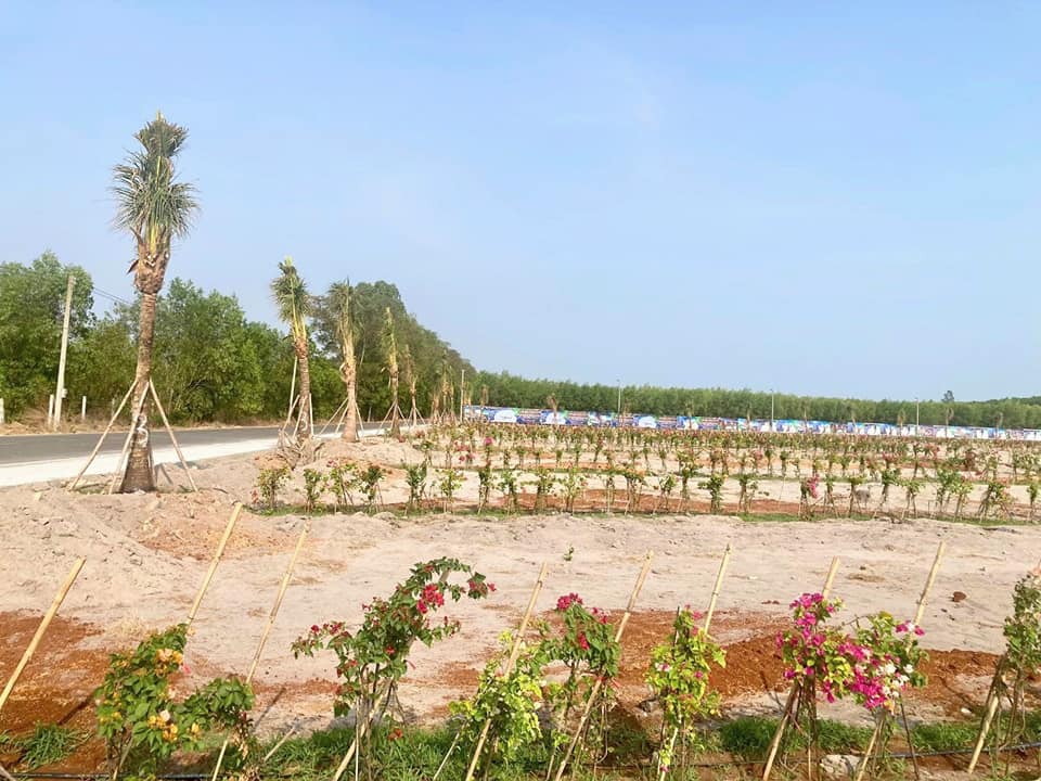 Đất nền Láng Dài, Đất Đỏ, Bà Rịa - Vũng Tàu 152m² giá 2.42 tỷ - Cơ hội đầu tư tuyệt vời!