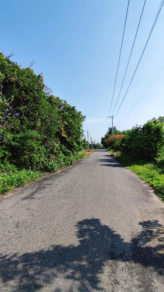 Đất thổ cư An Phước - Tam Phước 118,8m² giá chỉ 1,6 tỷ - Đầu tư ngay!