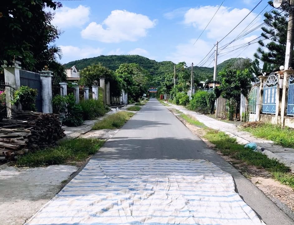 Đất nền xã Tam Phước, huyện Long Điền 500m² chỉ 3.1 tỷ - Mặt tiền đường nhựa rộng rãi!