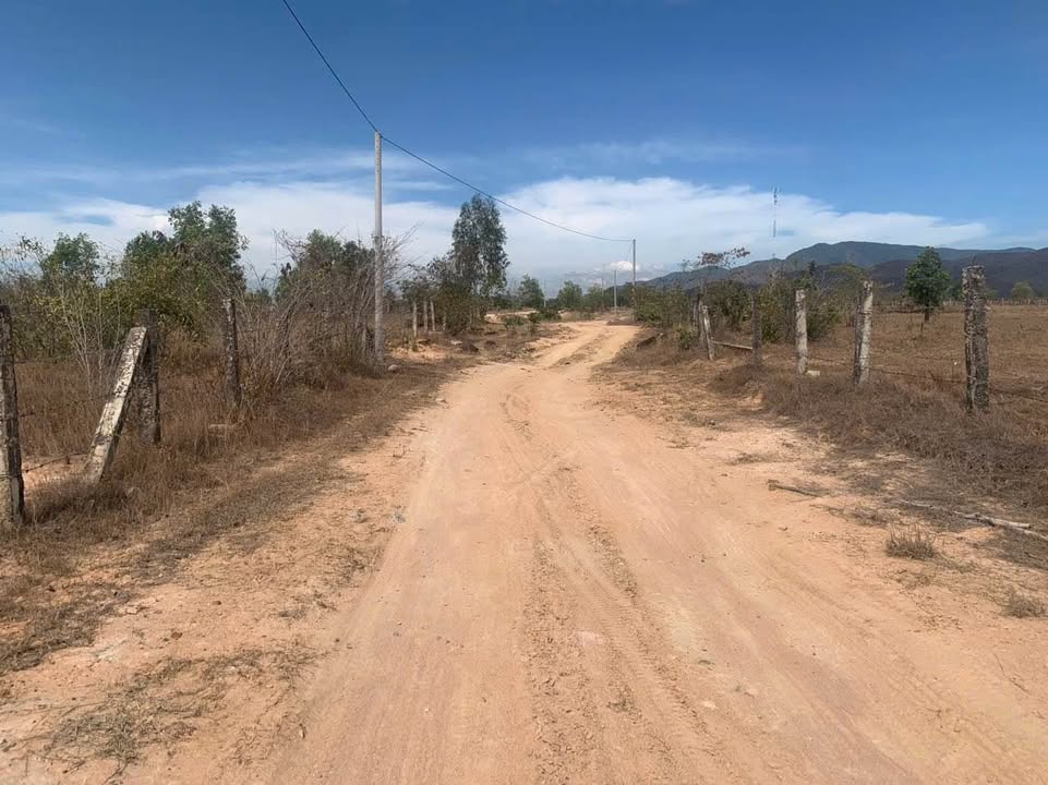 Đất Thổ Cư Hàm Liêm, Lâm Đồng 360m² giá 250 triệu - Sổ đỏ chính chủ!