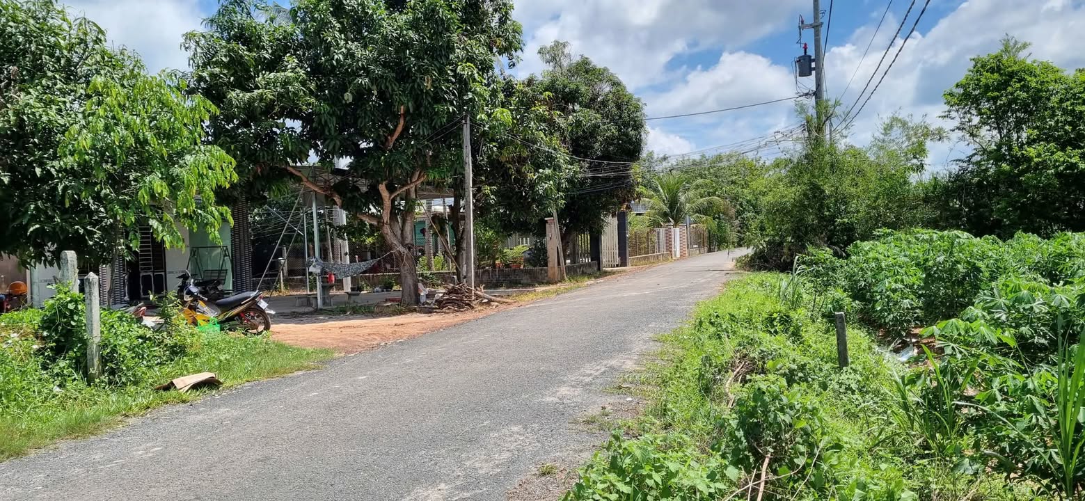 Đất nền ấp 4 xã Trà Vong 900m² giá 790 triệu - Thương lượng dễ dàng!