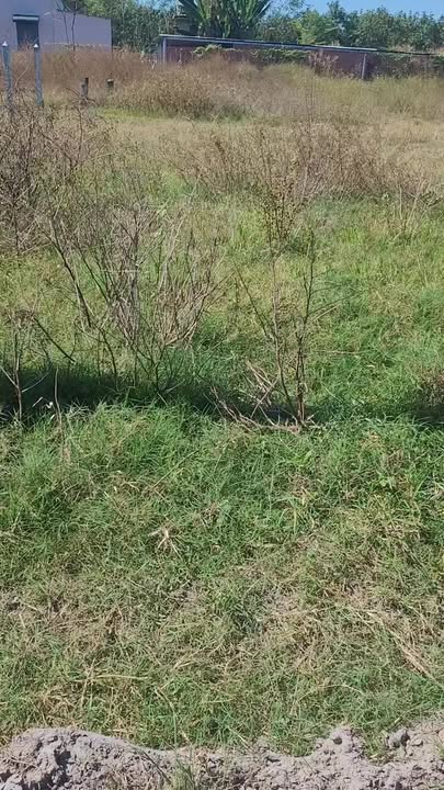 Đất nền Tân Phong 200m² giá 135 triệu - Cơ hội đầu tư tuyệt vời!