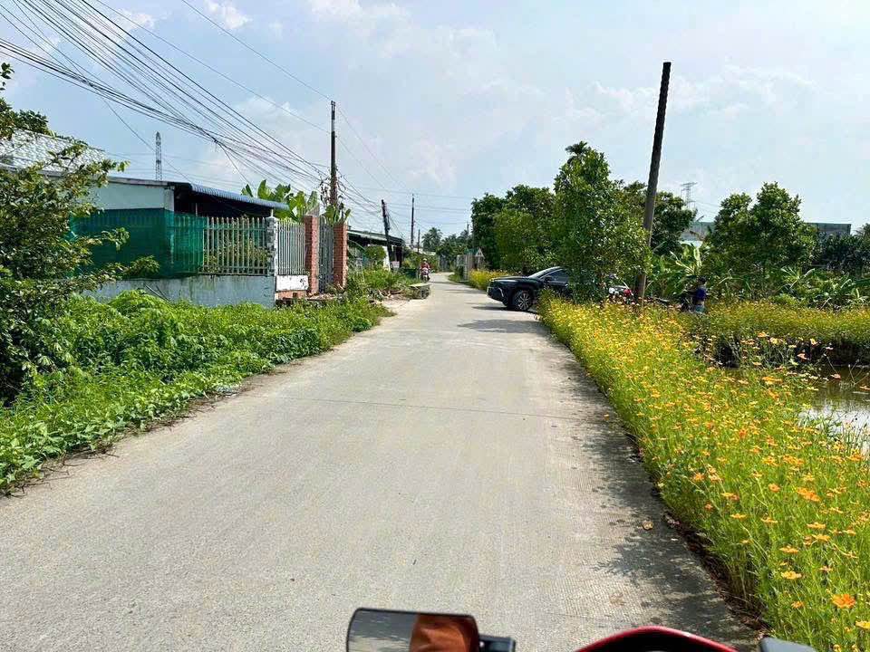 Đất thổ cư Bến Lức 623m² giá 1.99 tỷ - Đường bê tông xe hơi tới nơi!