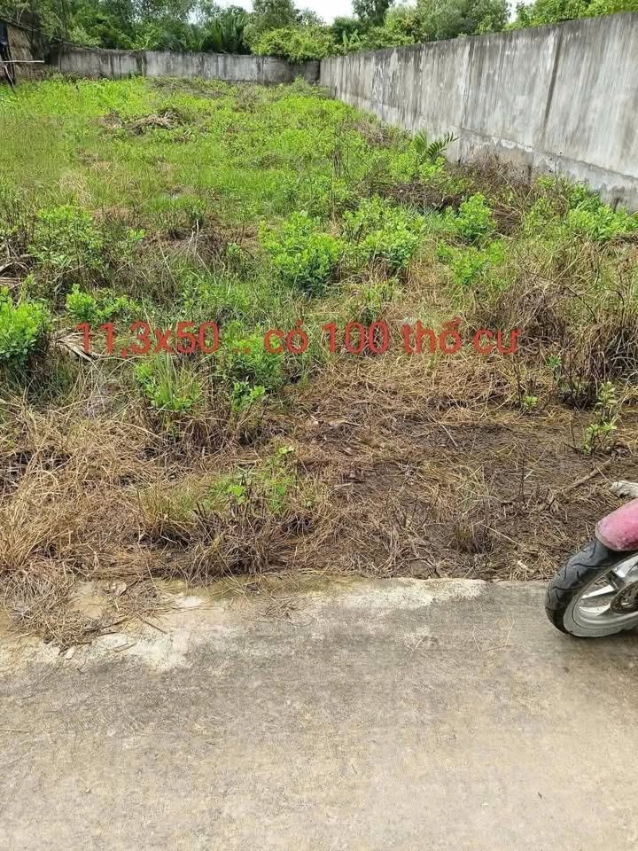 Đất nền 565m² tại thị trấn Bình Đại, Bến Tre chỉ 1.2 tỷ - Tiềm năng phát triển cao!