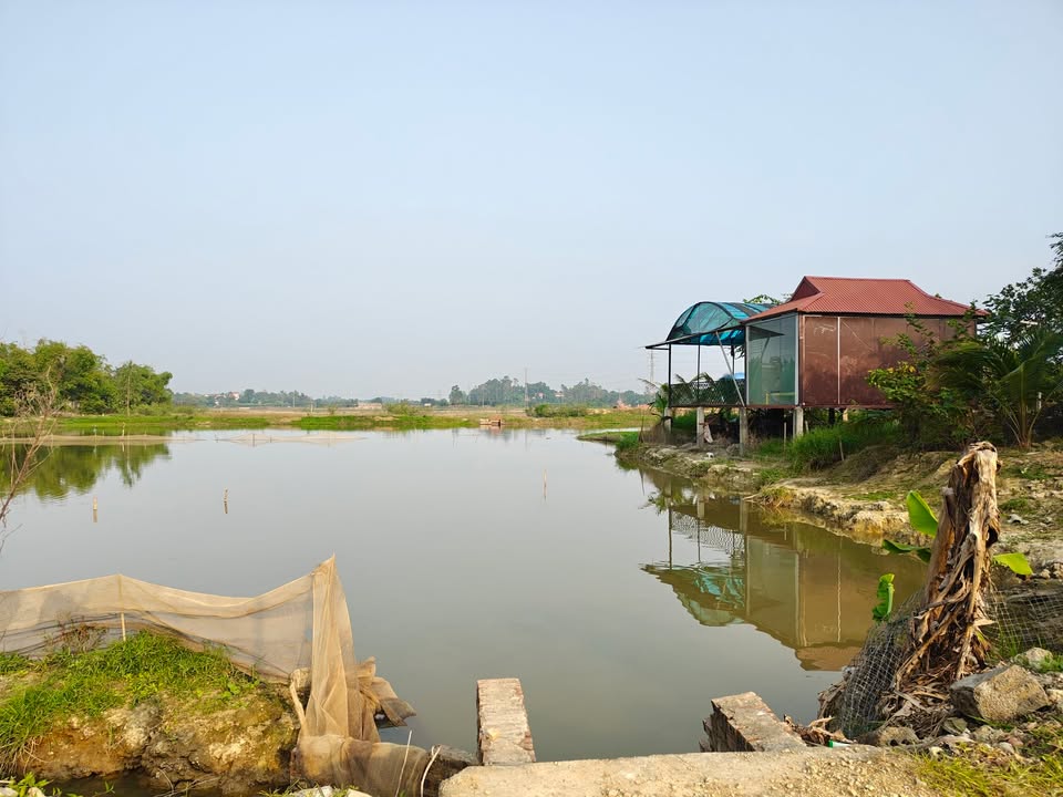 Đất nền Tản Lĩnh Ba Vì 1000m² giá 4 tỷ - Tiềm năng đầu tư lớn!