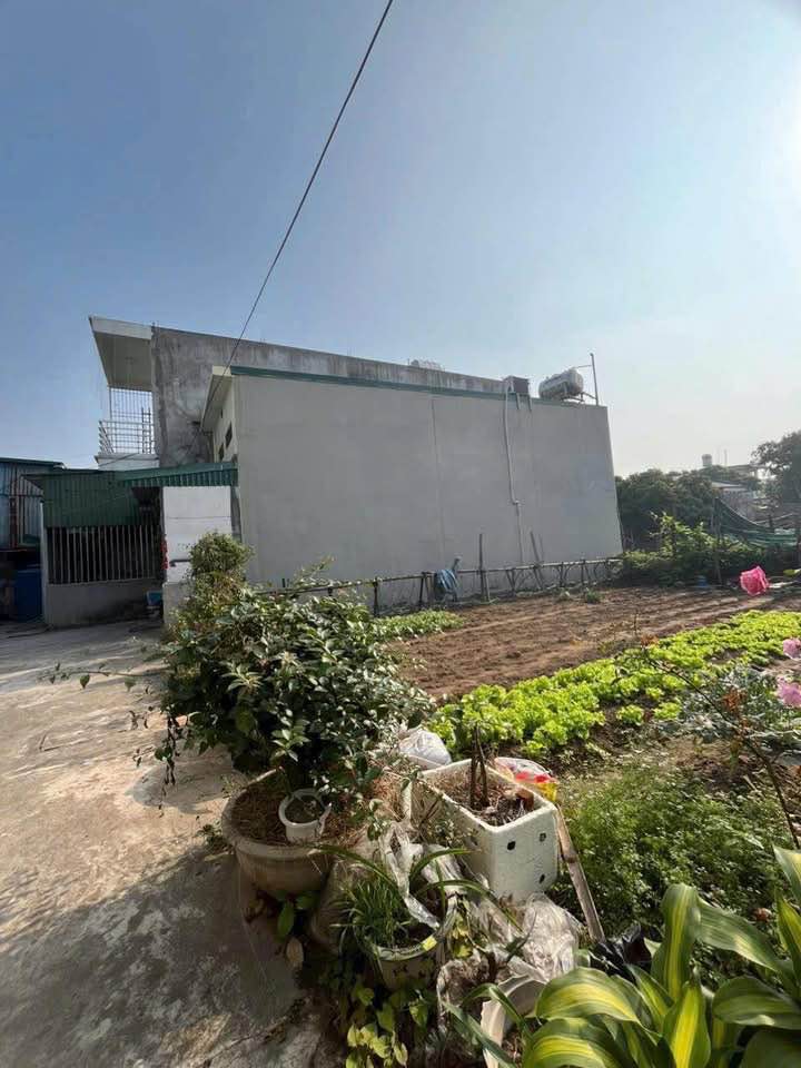 Lô đất thổ cư Vũ Phúc Thái Bình 56m² giá 1.4 tỷ - Đầu tư hợp lý ngay chân cầu Đen!