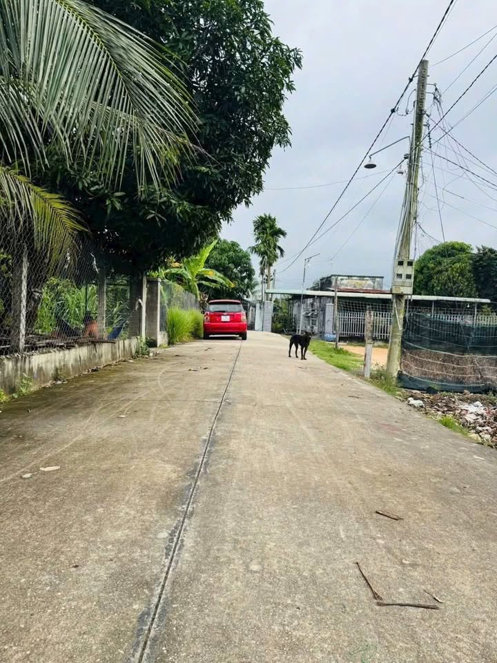 Đất nền Khu phố 3, Thị Trấn Châu Thành, Tây Ninh 115m² giá 320 triệu - Cơ hội đầu tư hấp dẫn!