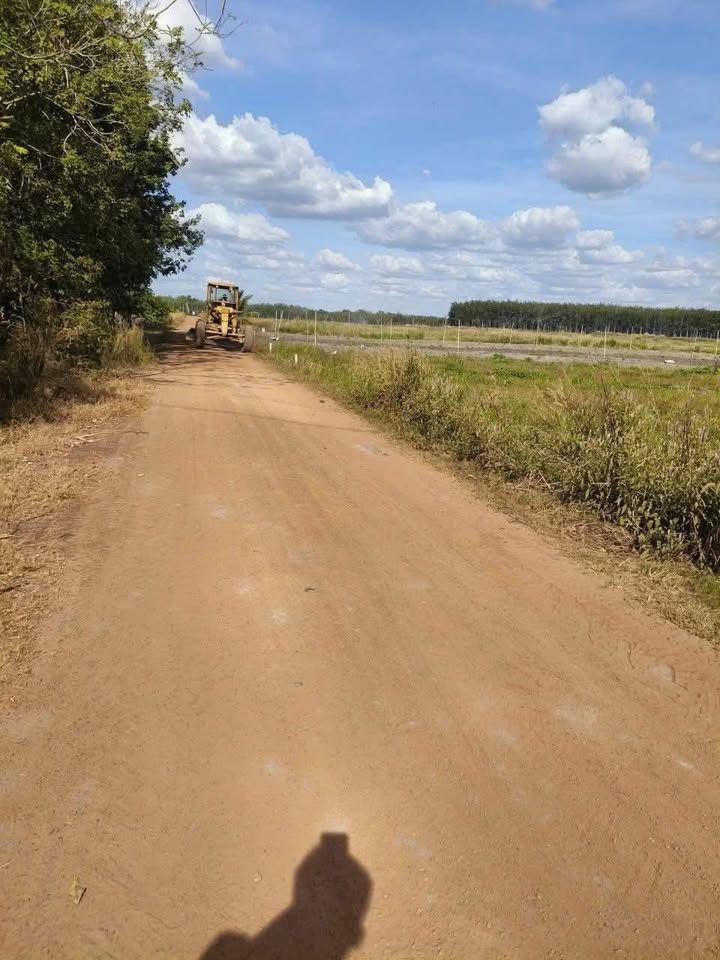 Đất nền Tân Hội, Tân Châu, Tây Ninh 1133m² giá chỉ 259 triệu - Lô góc 2 mặt tiền đắc địa!