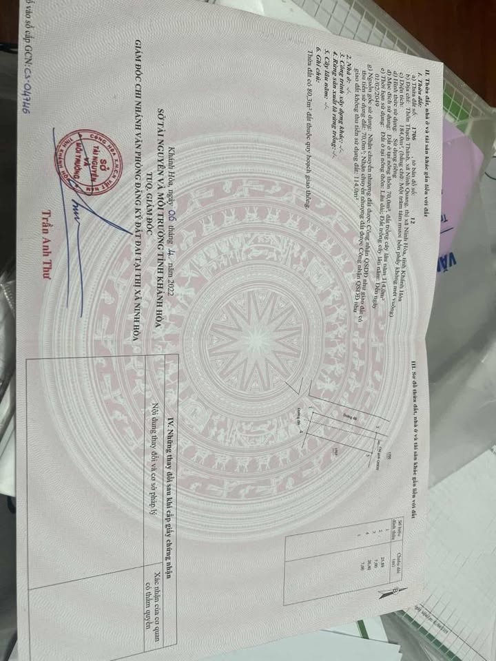 Đất nền 184,5m² tại Tân Định, Ninh Hòa - Giá chỉ 900 triệu