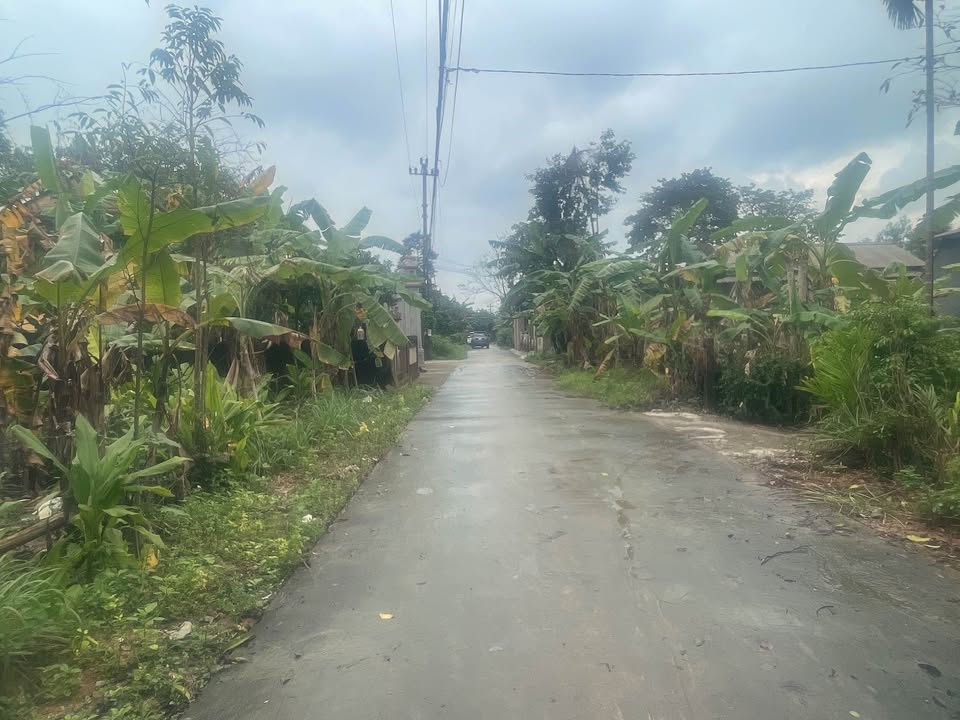 Đất mặt tiền kiệt Kim Long, Huế 250m² giá chỉ 1.25 tỷ - Đầu tư sinh lợi ngay!