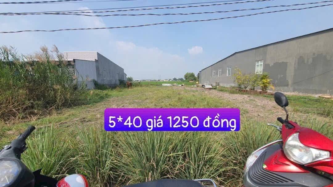 Đất nền thổ cư Đá Xanh 200m² giá 1.25 tỷ - Sổ đỏ chính chủ, vị trí lý tưởng!