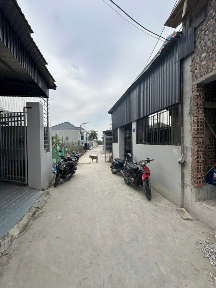 Đất nền Hồng Thái 60m² giá thỏa thuận - Tiềm năng sinh lời lớn!