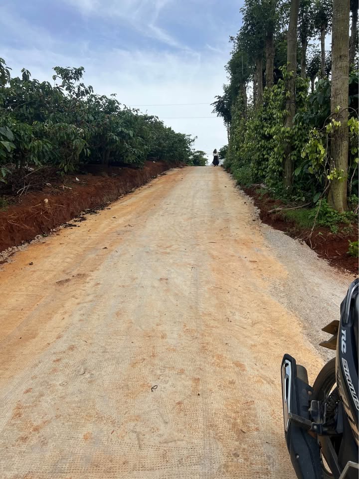 Đất nền Đà Lạt 1070m² giá chỉ 1.2 tỷ - Cơ hội đầu tư sinh lời!