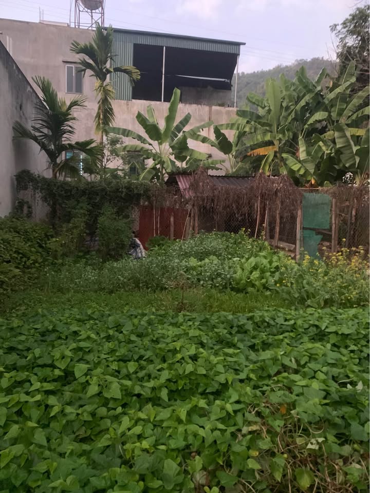 Lô đất 126m² Tô Hiệu, Sơn La - Bán gấp trước Tết, pháp lý rõ ràng!