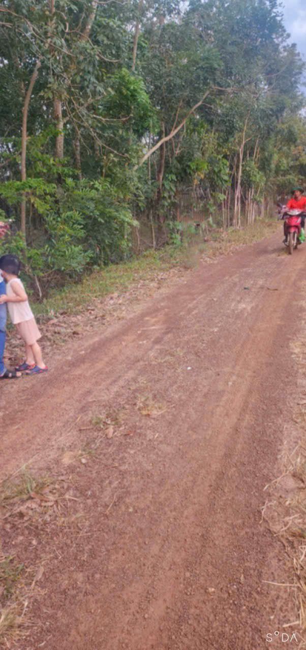 Đất nền An Phú Hớn Quản 250m² giá 100 triệu - Cơ hội đầu tư tuyệt vời!