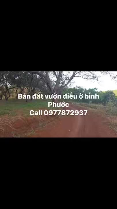 Đất nền Bình Minh, Chơn Thành 30.000m² giá 1.35 tỷ - Đầu tư lý tưởng!