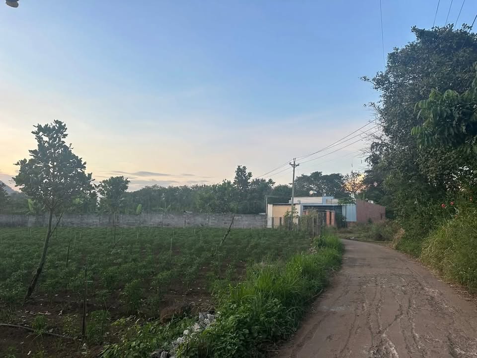 Đất nền Xuân Trường, Xuân Lộc 1000m² giá 800 triệu - Mặt tiền đường bê tông thông thoáng!