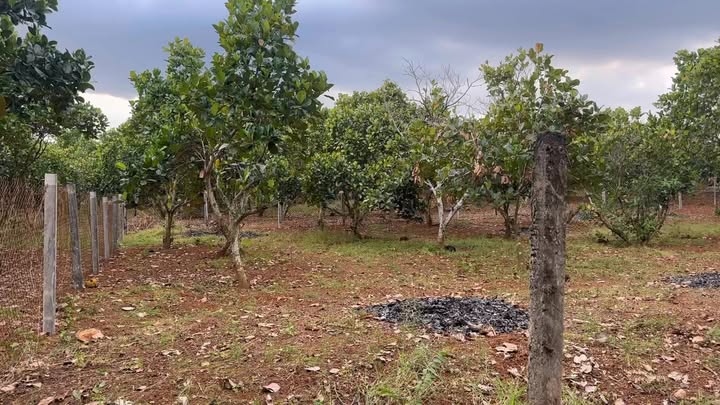 Đất nền 1000m² tại xã Xuân Định, Đồng Nai - Mặt tiền rộng, vị trí đẹp!