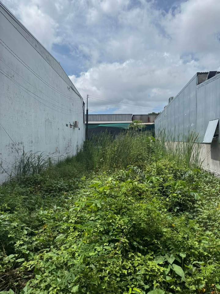 Đất nền 2 mặt tiền Hẻm 139, Phường Lý Văn Lâm, Cà Mau 184m² giá 1.4 tỷ - Cơ hội đầu tư tuyệt vời!