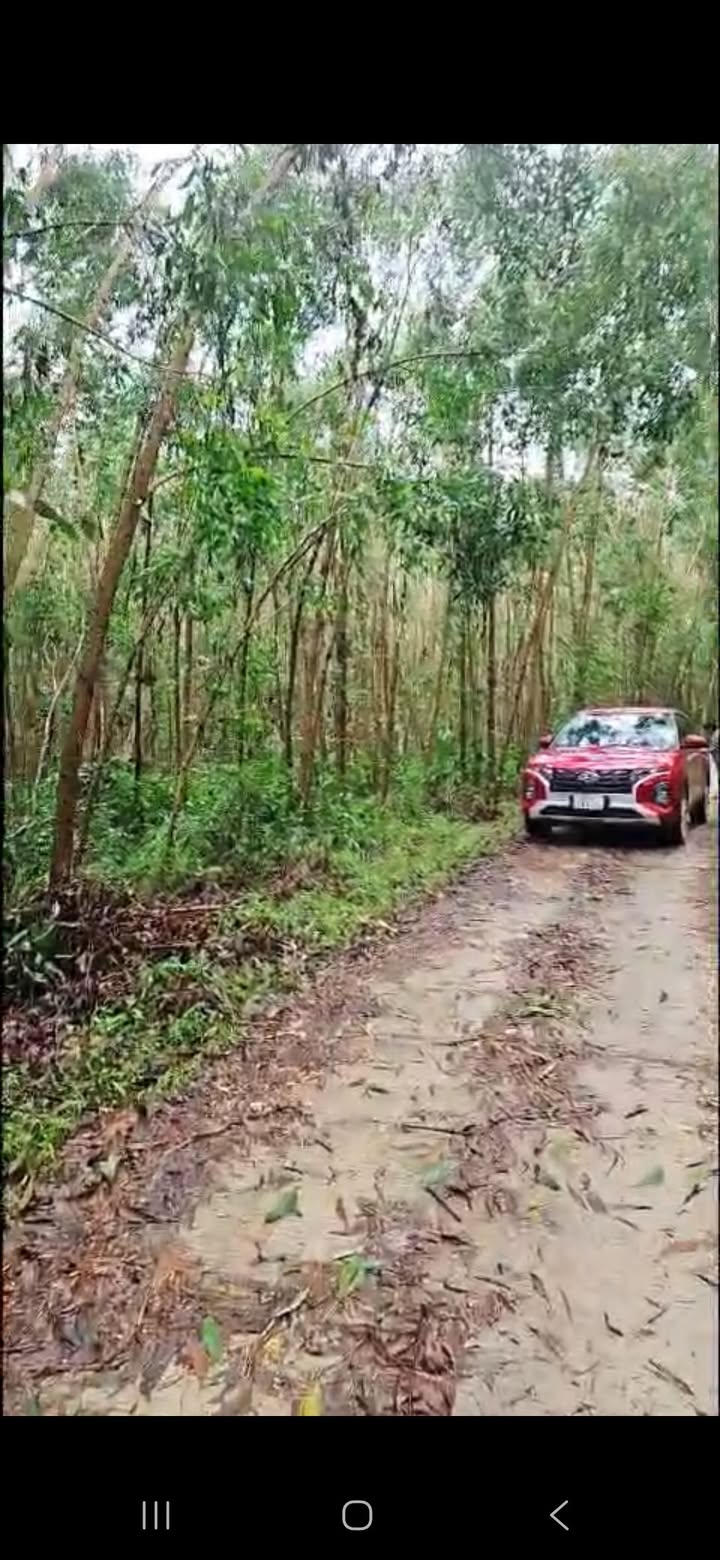 Đất nông nghiệp xã Bình Minh 14.000m² giá chỉ 790 triệu - Cơ hội đầu tư lý tưởng!