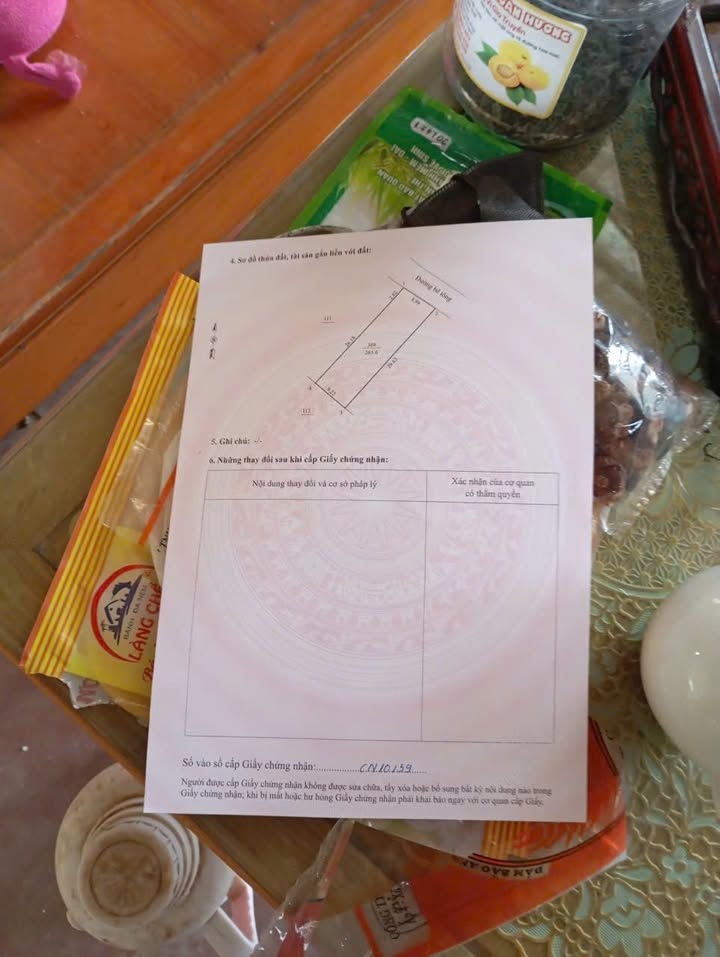 Đất nền Lương Sơn Hòa Bình 265m² - Cần bán gấp giá thỏa thuận!