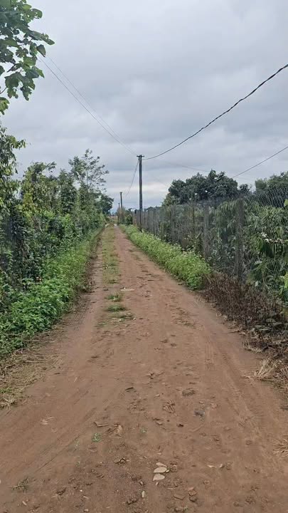 Đất thổ cư Ea Kmút 2950m² giá 1.4 tỷ - Tiềm năng phát triển cao!