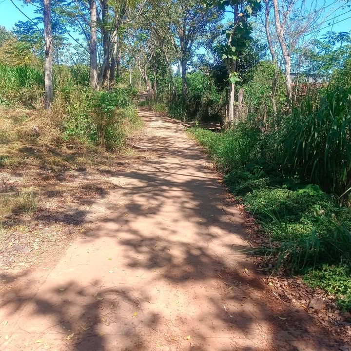 Đất nền Lộc Hiệp 1000m² giá chỉ 600 triệu - Cơ hội đầu tư hấp dẫn!