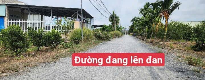 Đất vườn Bến Lức 700m² giá 949 triệu - Mặt tiền đường Năm Liệt hot nhất thị trường!