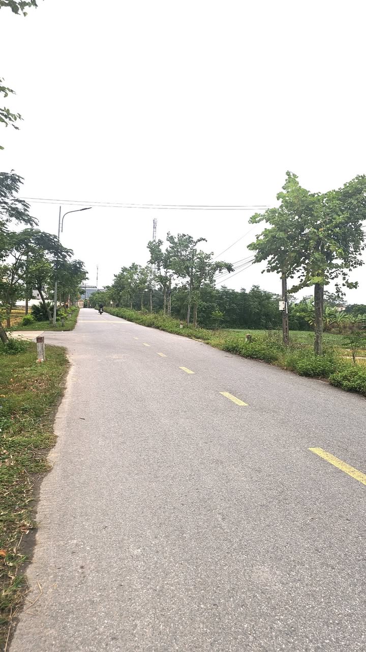 Đất nền mặt đường Trục Xã Vũ Bản, Bình Lục, Hà Nam 135m² - Cơ hội đầu tư hấp dẫn!