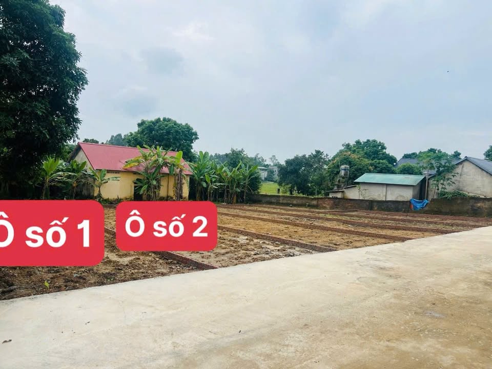 Đất nền Kim Long, Tam Dương 137m² giá chỉ 800 triệu - Cơ hội đầu tư lý tưởng!