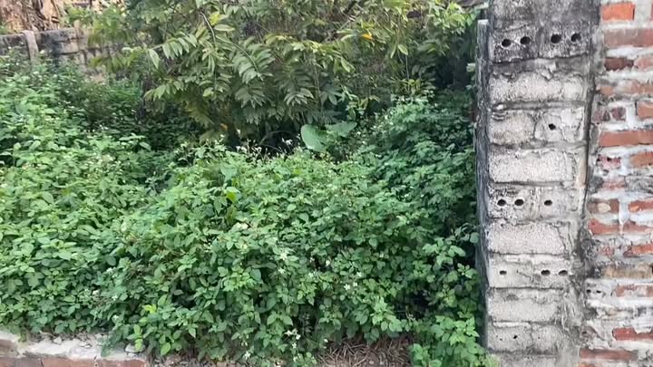 Đất nền 49.4m² thôn Đồi Tường, Trung Sơn Trầm, Sơn Tây - Kinh doanh sinh lời ngay!