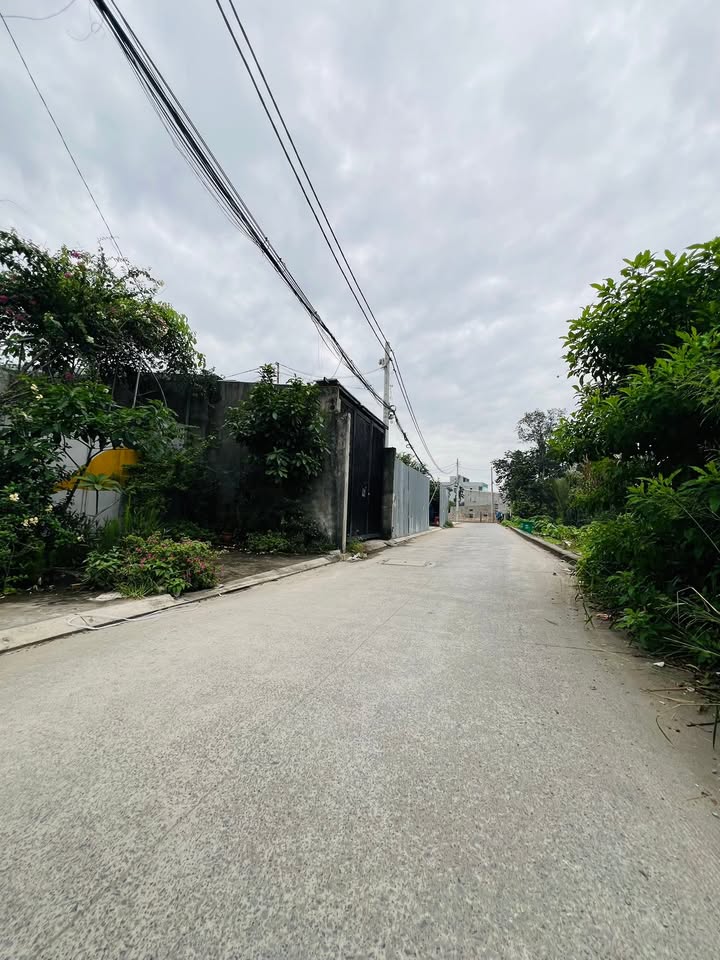 Đất vườn Nguyễn Thị Nhuần, Quận 12, 250m² giá 8.5 tỷ - Mặt tiền thông thoáng!