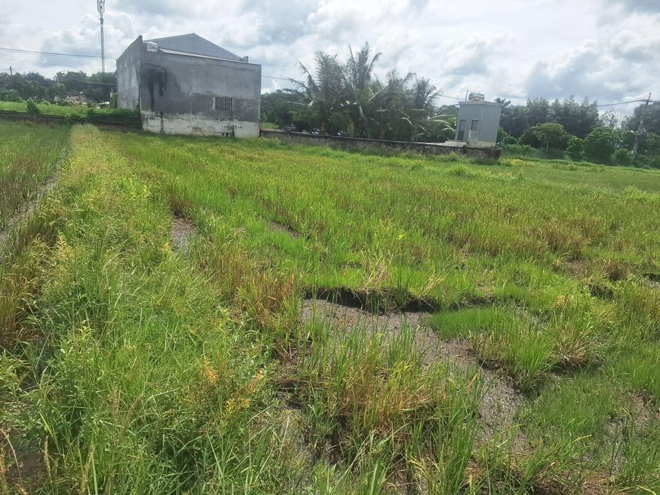 Đất vườn 675m² tại ấp Xóm Mới, Củ Chi giá 550 triệu - Cơ hội đầu tư tuyệt vời!