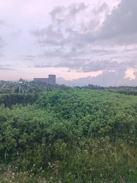 Đất nền Phong Nẫm, Lâm Đồng 163m² giá 190 triệu - Cơ hội đầu tư tuyệt vời!