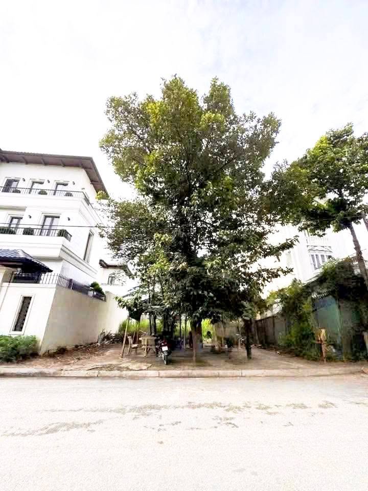 Đất nền 290m² tại đường Lê Thị Riêng, quận 12 - Vị trí đắc địa, giá chỉ 17.59 tỷ!