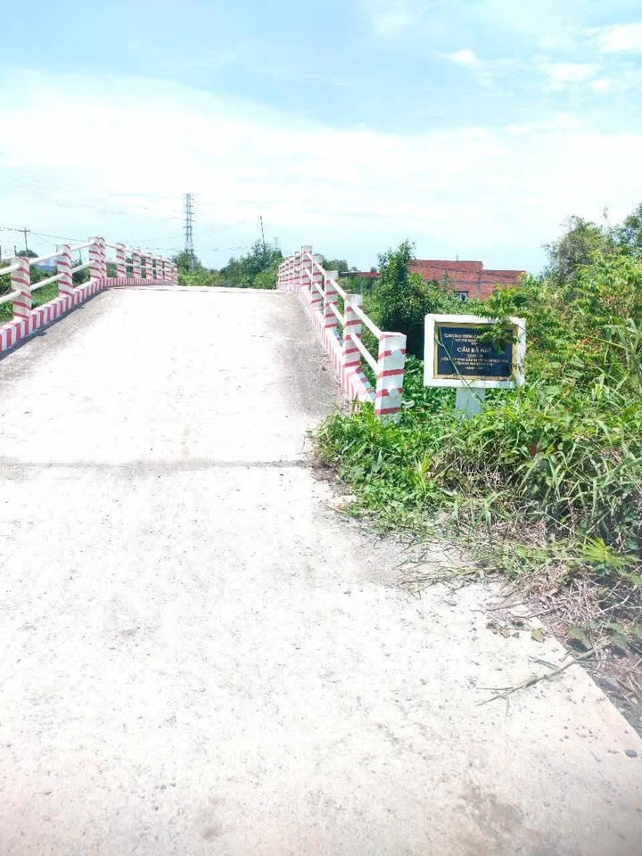 Đất vườn 8680m² ấp 2 xã Thạnh Lợi, Bến Lức - Giá 4 tỷ, thương lượng