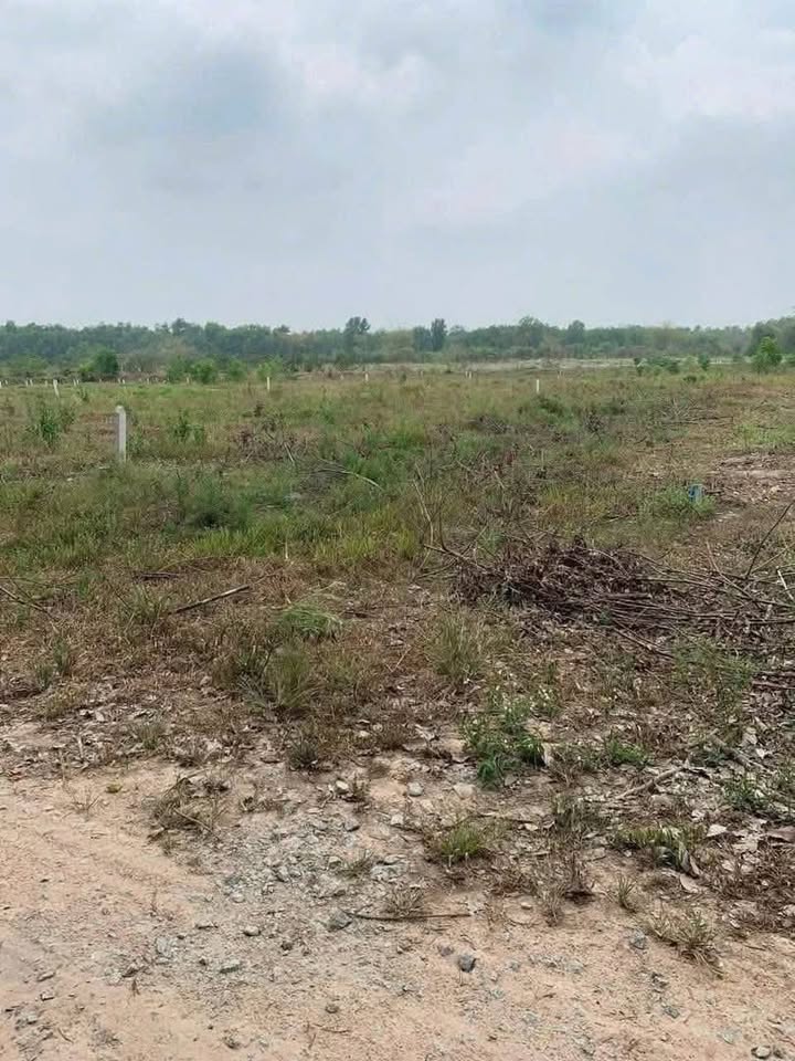 Đất nền Bàu Bàng 1000m² giá 400 triệu - Cơ hội đầu tư hấp dẫn!